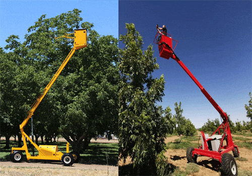 کاربرد بالابر صنعتی در نگهداری درختان و چیدن میوه